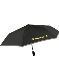 Regenschirm mit SV Zwickau Schriftzug